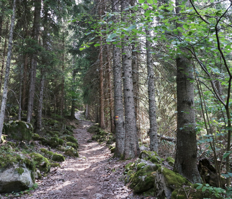 Sentier en fort autour d'Oz-en-Oisans