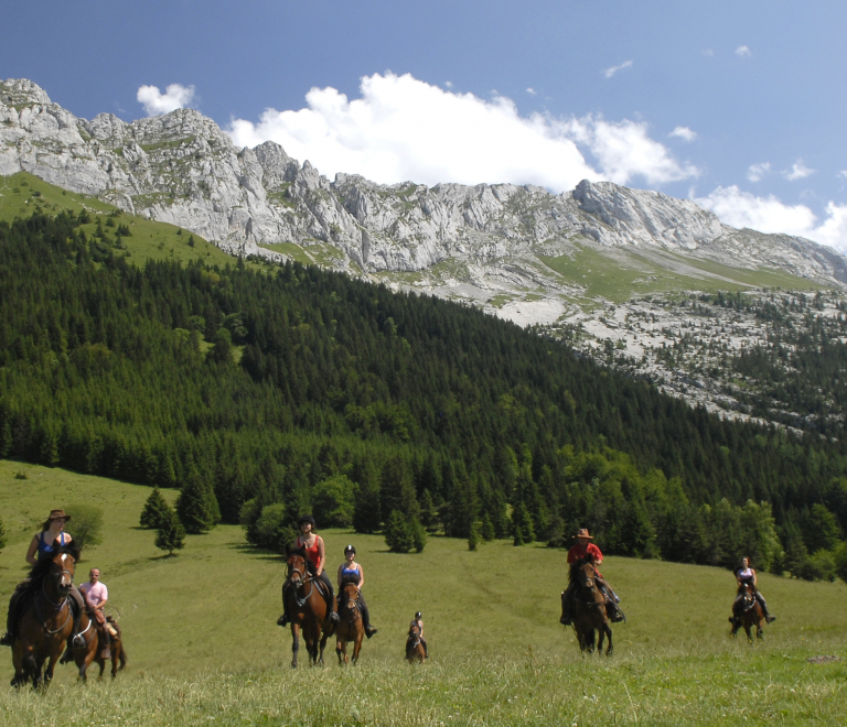 Le Vercors, le paradis  cheval