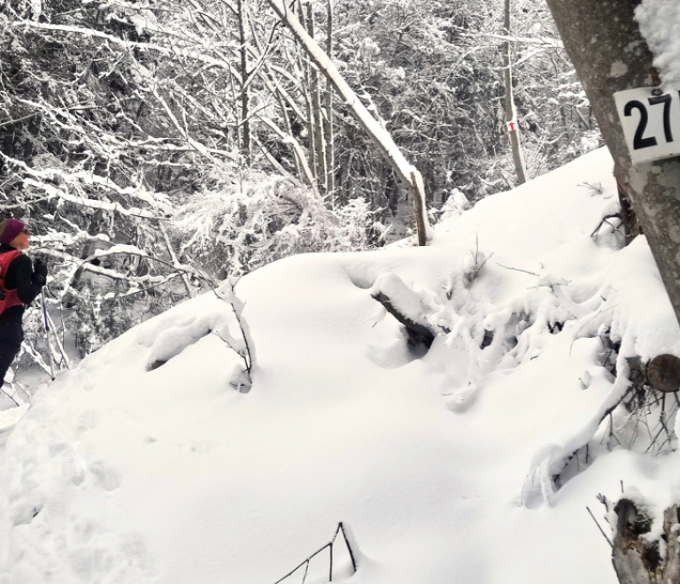 Parcours de ski de randonnée