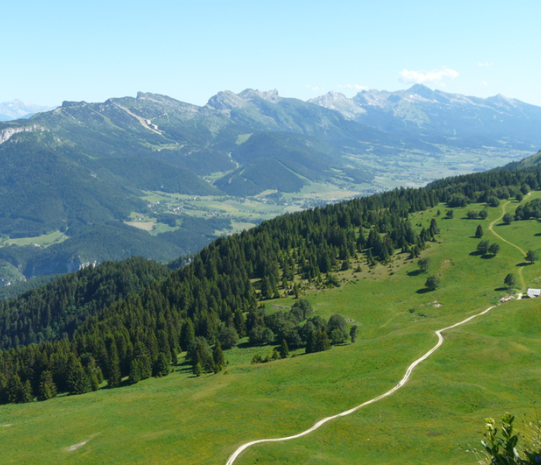 Le plateau de la Molière