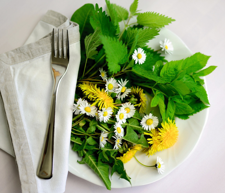 Cuisine aux plantes alpines