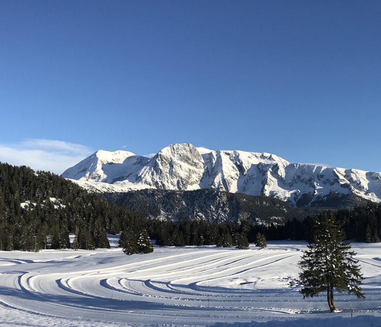 Photo du plateau de l'Arselle Chamrousse