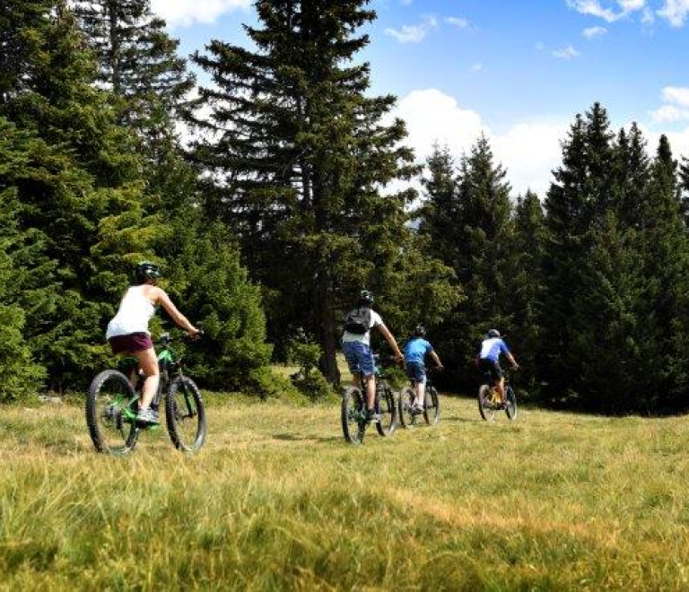 Photo VTT sentier Chamrousse