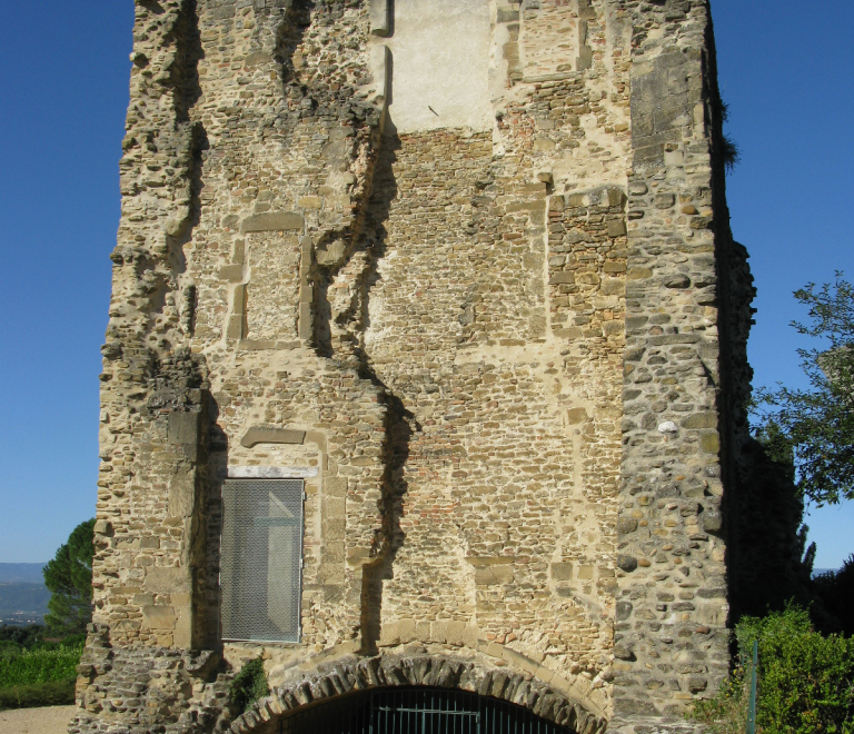 Tour et vestiges de l&#039;ancien château d&#039;Anjou