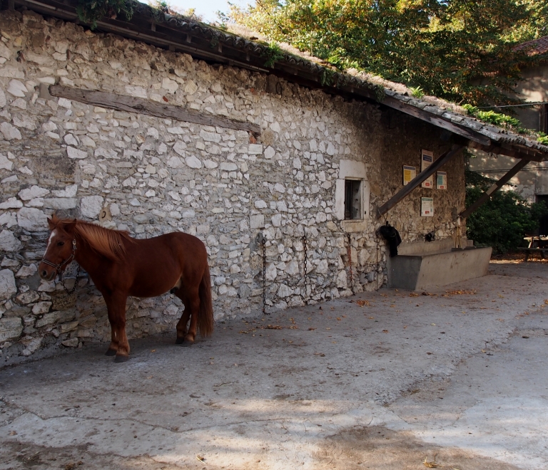 Balade d&#039;initiation à cheval à Villard de Lans