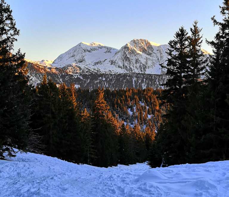 Photo clairire sentier raquette  neige Chamrousse