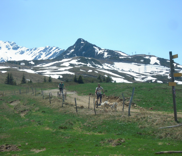 Mushing dans la vallée du Haut Bréda et au Pleynet