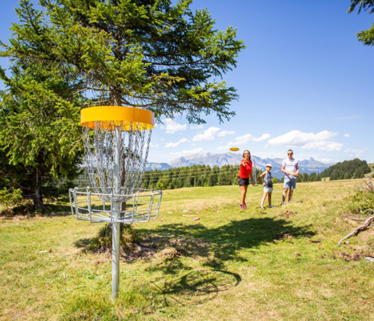 Frisbee golf image