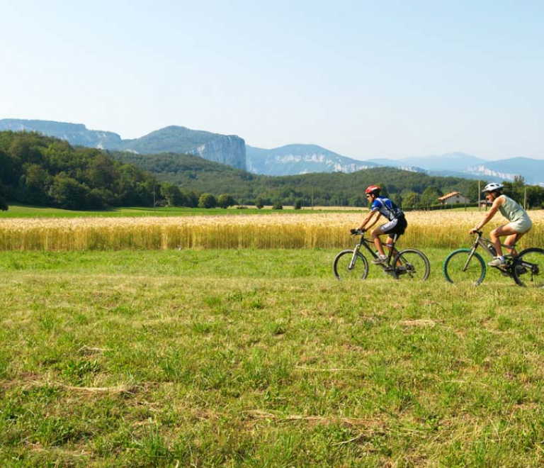 Base VTT Royans-Coulmes | Circuit 20 : La Goulandière