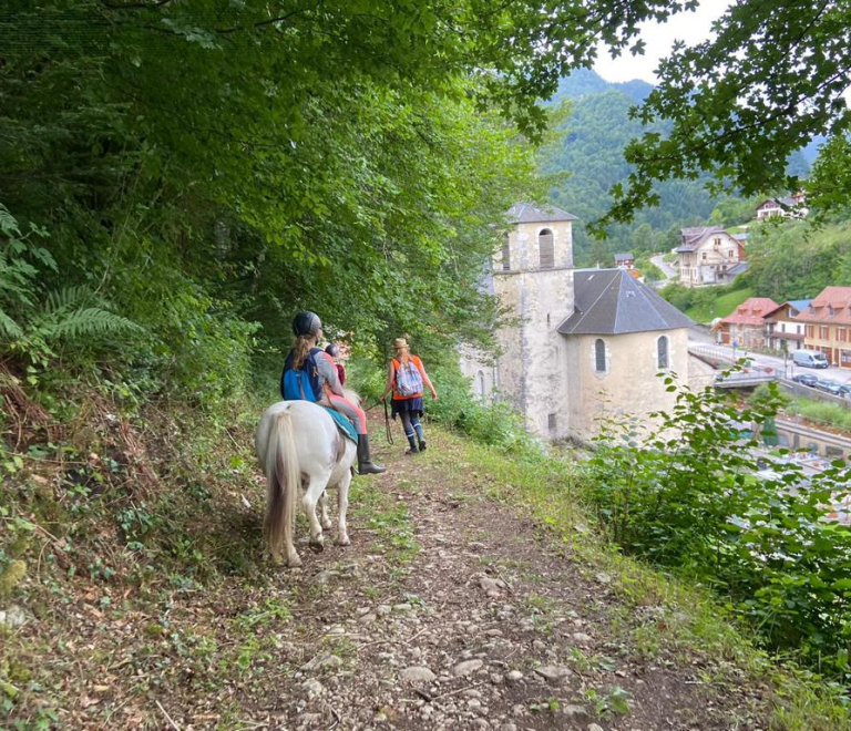 La Petite Cavale d&#039;Erika - Stage poney demi-journée