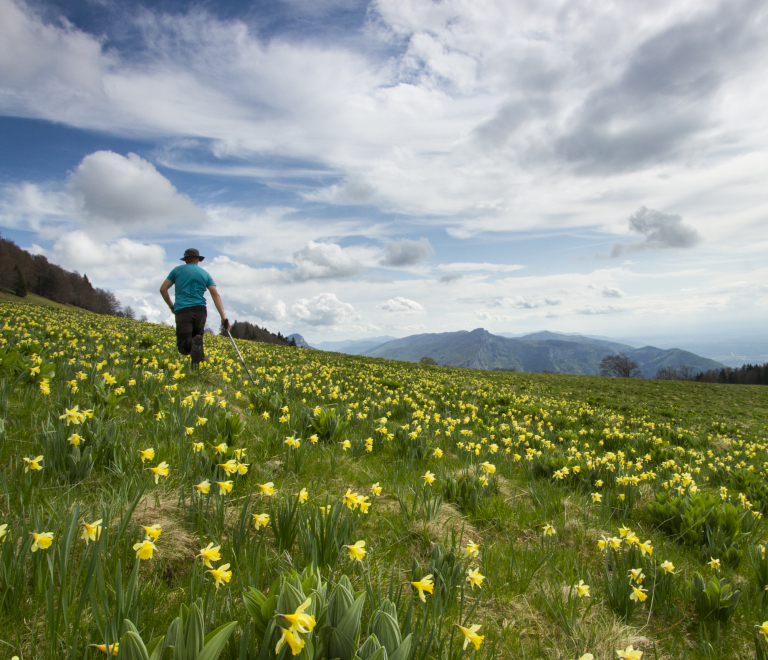 L&#039;Espace Naturel Sensible des Ecouges