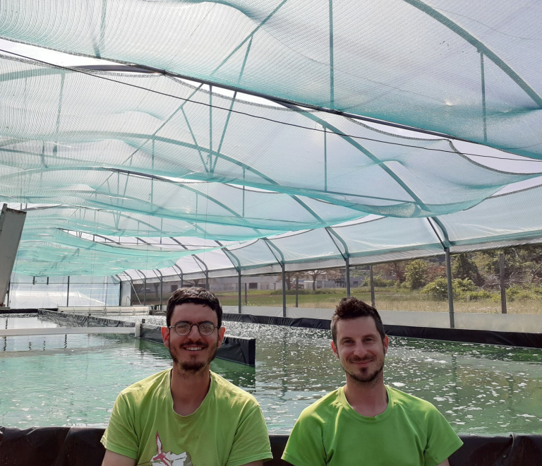 Visite ferme Spiruline de Chartreuse