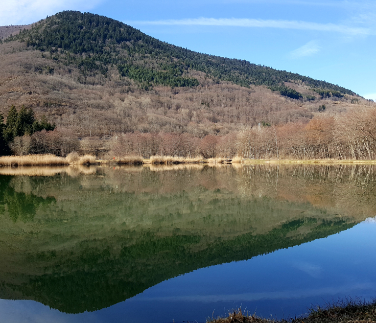 N°01 La Ronde des Crapauds VTTAE - Vert