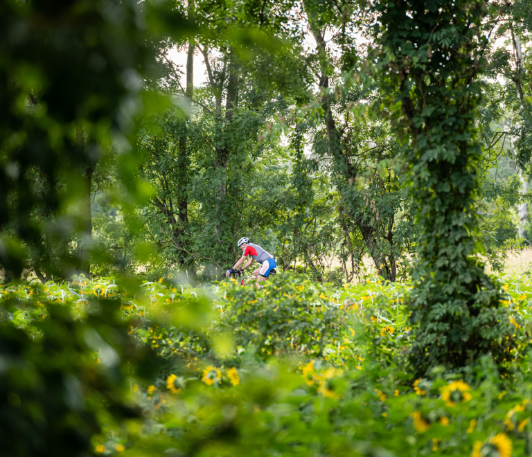 Randonnée à VTT à L&#039;Isle-d&#039;Abeau, La Verpillière, Saint-Quentin-Fallavier et Vaulx-Milieu