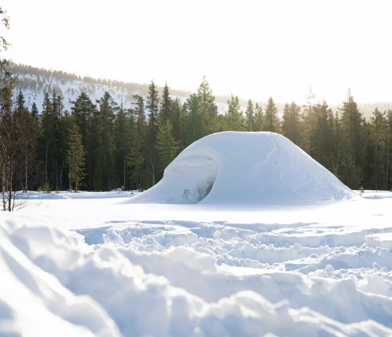 Construction d&#039;igloo - Pied Vert