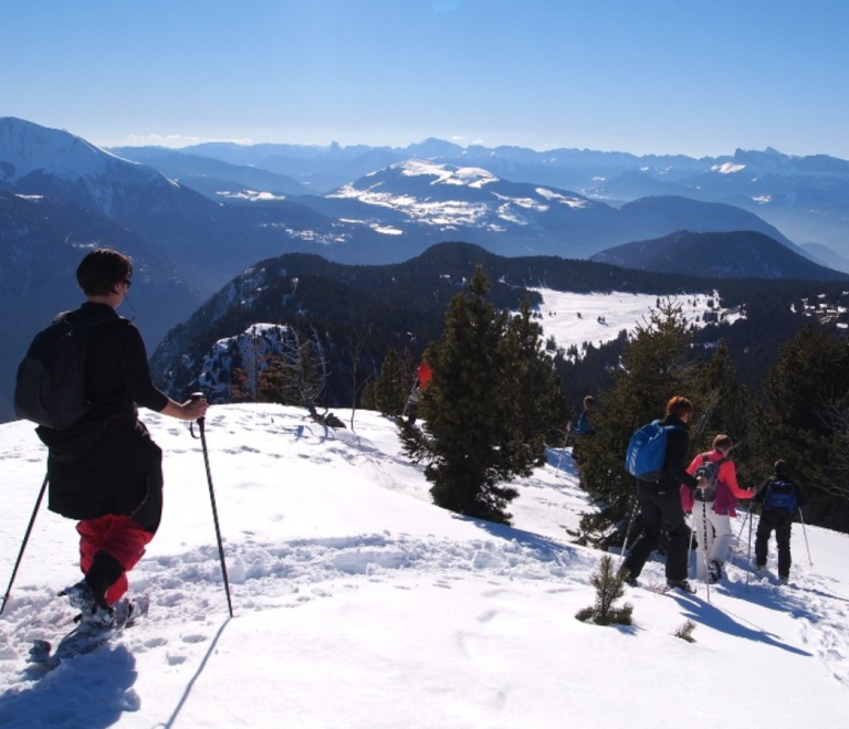 Raquettes à neige pour adultes en situation de handicap - Guide  accompagnateur en montagne et randonnées accompagnées