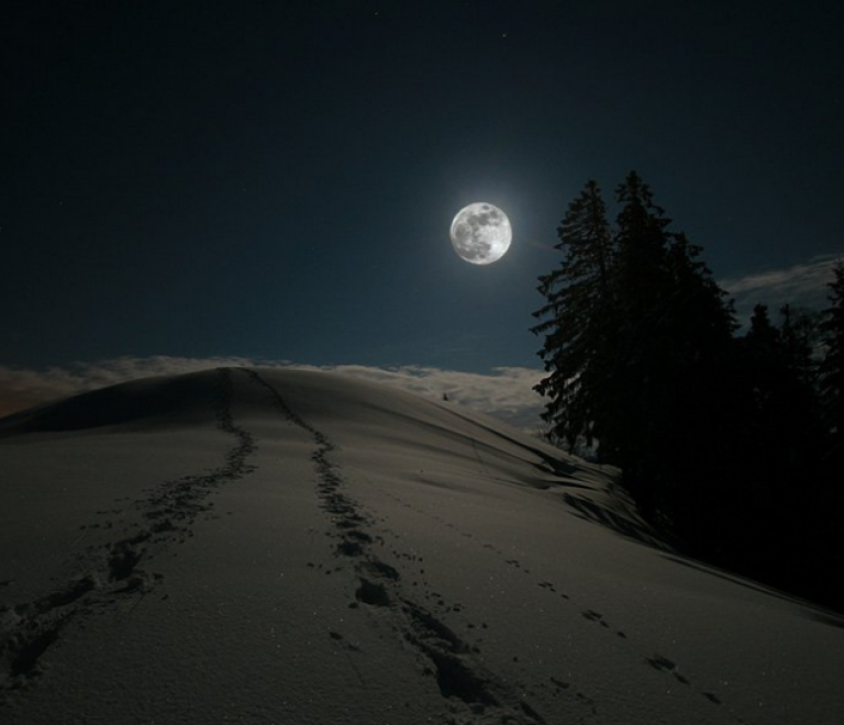 Snowshoeing at night