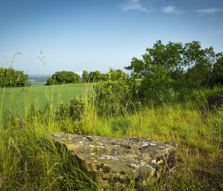 ENS de Larina