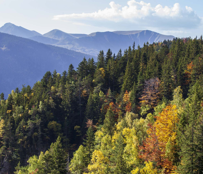 Photo automne domaine montagne Chamrousse