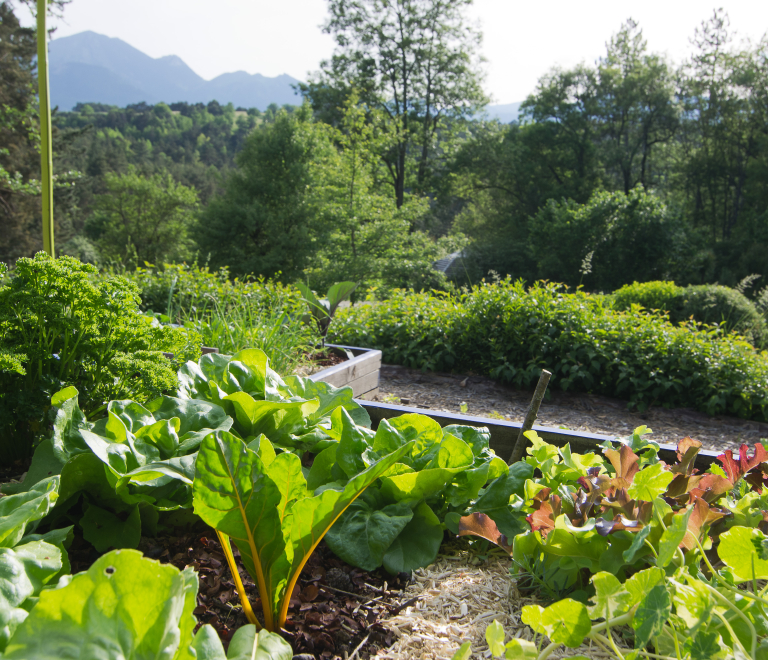 Stage Terre Vivante :  Eco Jardin Integrale