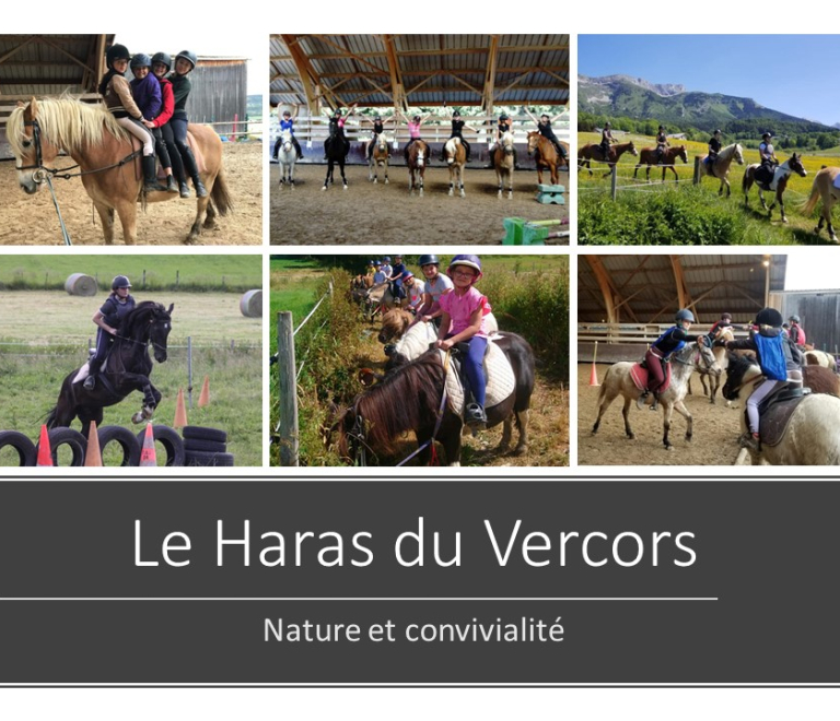 Stages d&#039;équitation au Haras du Vercors