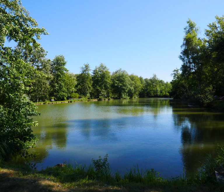 Etang du Sorbier