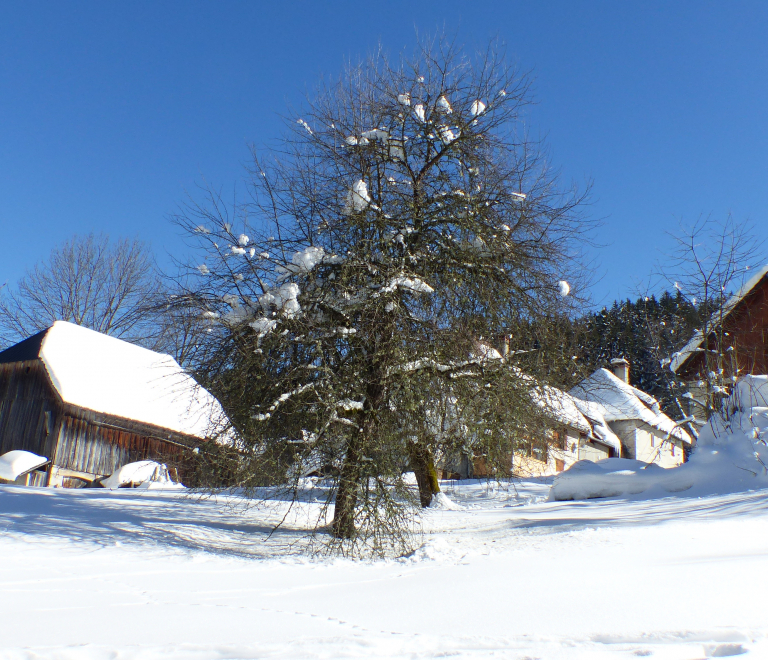 Pierre Mesure n° 2 - Itinéraire hiver