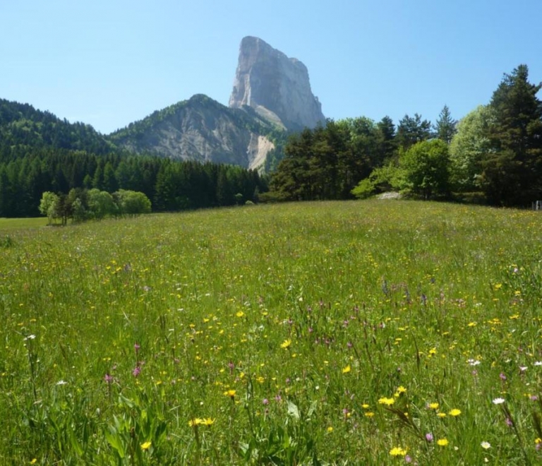 Mont Aiguille en été