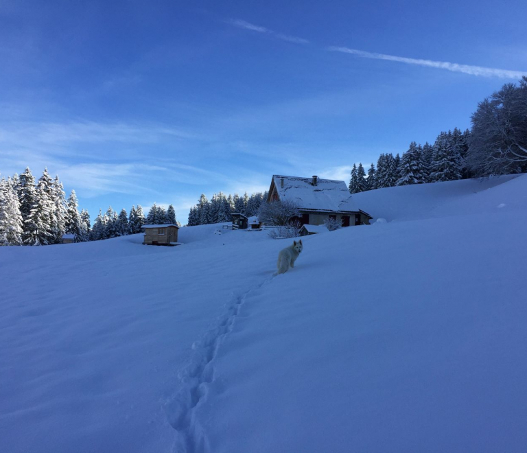 Refuge des Feneys