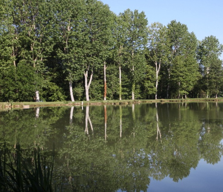 Base de Loisirs en Bivre