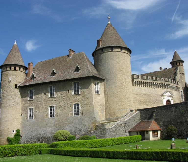 Louis XIII au Château de Virieu