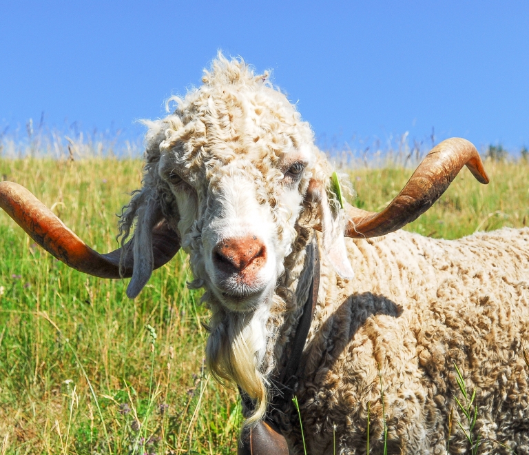 Visites de fermes et producteurs