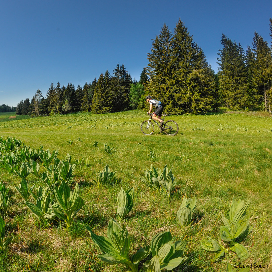 gtv-vercors-vtt-isere